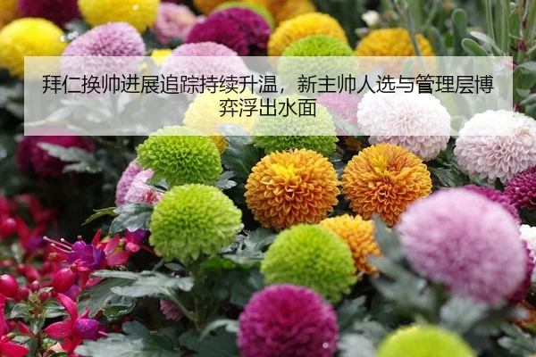 bai-ren-huan-shuai-jin-zhan-zhui-zong-chi-xu-sheng-wen-xin-zhu-shuai-ren-xuan-yu-guan-li-ceng-bo-yi-fu-chu-shui-mian-2-429.jpg